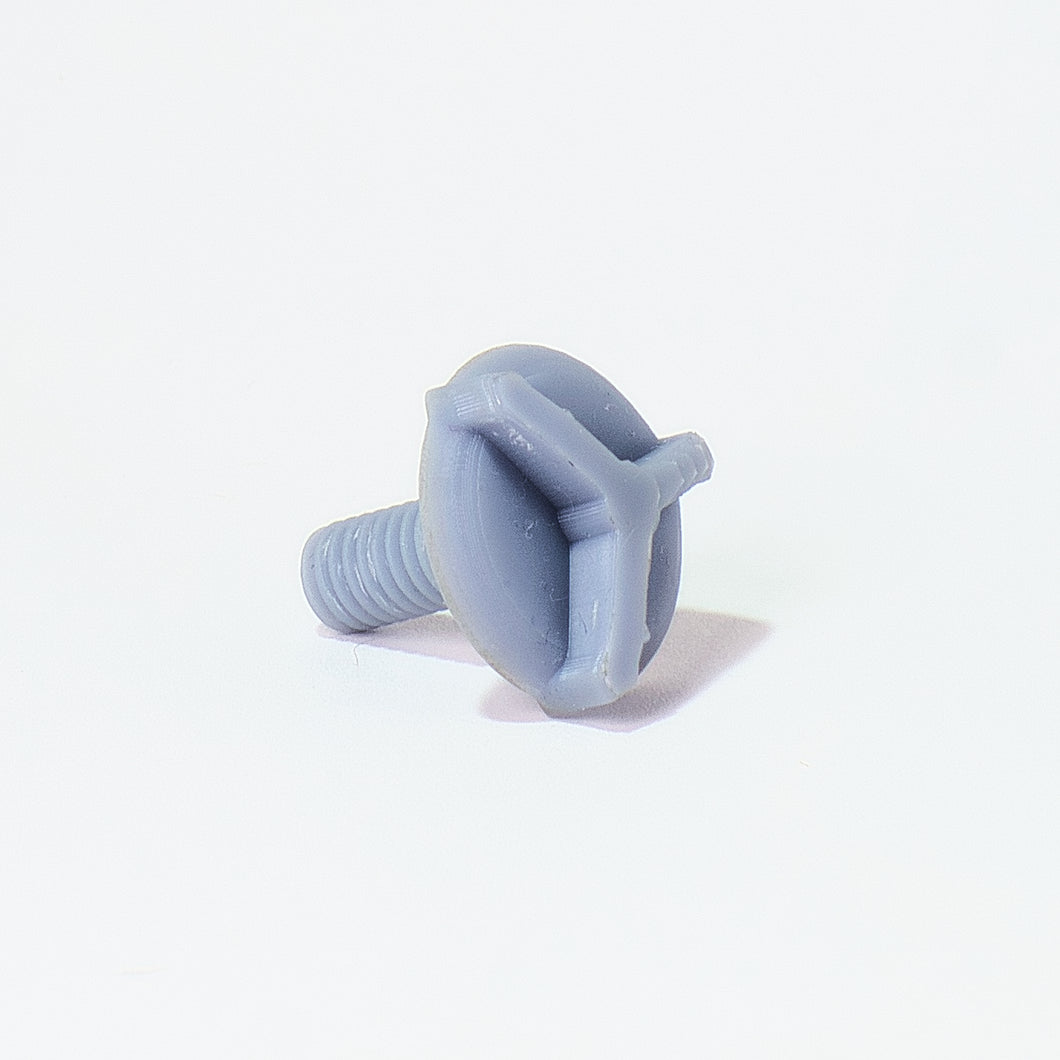 Visor screw